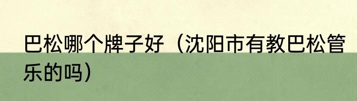 巴松哪个牌子好（沈阳市有教巴松管乐的吗）