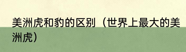 美洲虎和豹的区别（世界上最大的美洲虎）