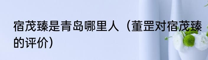 宿茂臻是青岛哪里人（董罡对宿茂臻的评价）