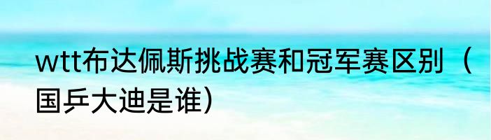 wtt布达佩斯挑战赛和冠军赛区别（国乒大迪是谁）