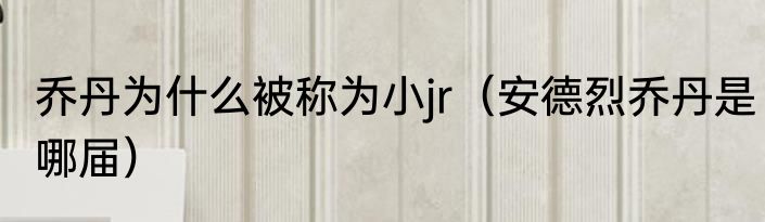 乔丹为什么被称为小jr（安德烈乔丹是哪届）