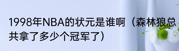 1998年NBA的状元是谁啊（森林狼总共拿了多少个冠军了）