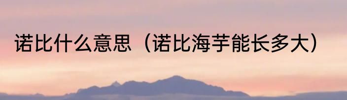 诺比什么意思（诺比海芋能长多大）