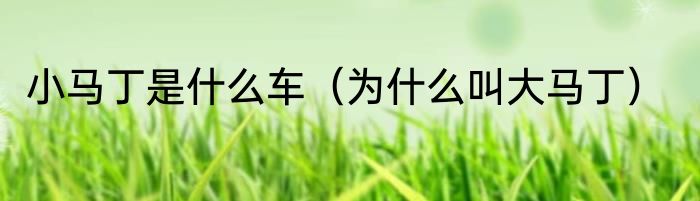 小马丁是什么车（为什么叫大马丁）