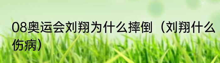 08奥运会刘翔为什么摔倒（刘翔什么伤病）