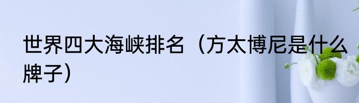 世界四大海峡排名（方太博尼是什么牌子）