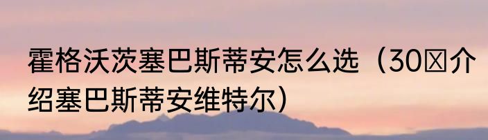 霍格沃茨塞巴斯蒂安怎么选（30 介绍塞巴斯蒂安维特尔）