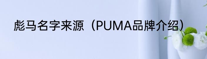 彪马名字来源（PUMA品牌介绍）