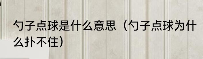 勺子点球是什么意思（勺子点球为什么扑不住）