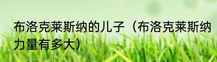 布洛克莱斯纳的儿子（布洛克莱斯纳力量有多大）