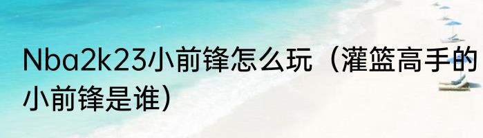 Nba2k23小前锋怎么玩（灌篮高手的小前锋是谁）
