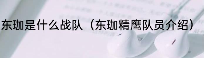 东珈是什么战队（东珈精鹰队员介绍）