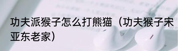 功夫派猴子怎么打熊猫（功夫猴子宋亚东老家）