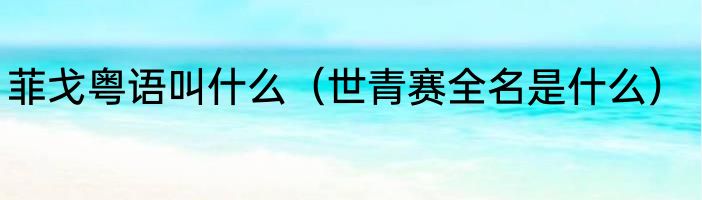 菲戈粤语叫什么（世青赛全名是什么）