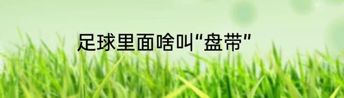 足球里面啥叫“盘带”