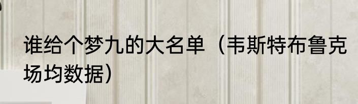 谁给个梦九的大名单（韦斯特布鲁克场均数据）