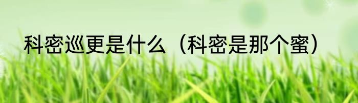 科密巡更是什么（科密是那个蜜）