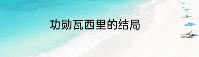 功勋瓦西里的结局