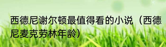 西德尼谢尔顿最值得看的小说（西德尼麦克劳林年龄）