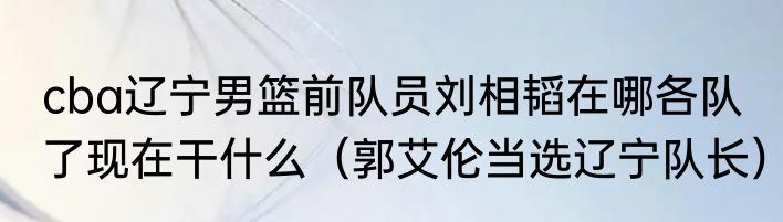 cba辽宁男篮前队员刘相韬在哪各队了现在干什么（郭艾伦当选辽宁队长）