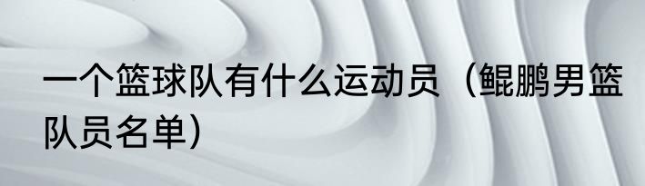 一个篮球队有什么运动员（鲲鹏男篮队员名单）