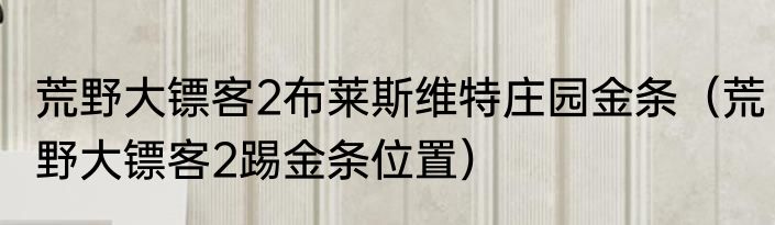 荒野大镖客2布莱斯维特庄园金条（荒野大镖客2踢金条位置）