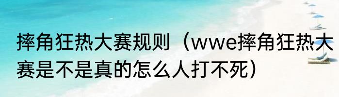 摔角狂热大赛规则（wwe摔角狂热大赛是不是真的怎么人打不死）