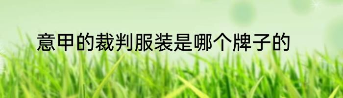 意甲的裁判服装是哪个牌子的