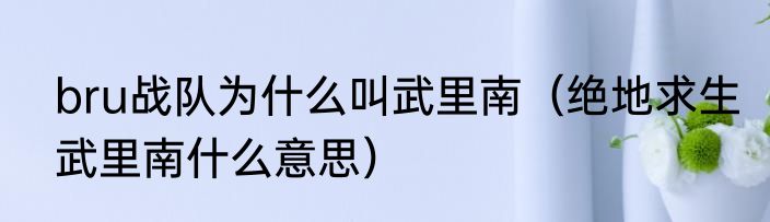 bru战队为什么叫武里南（绝地求生武里南什么意思）