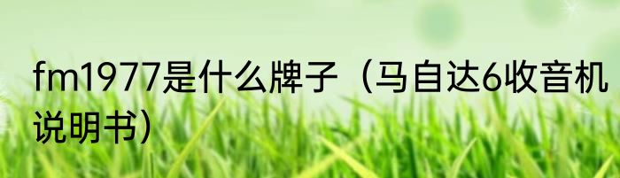 fm1977是什么牌子（马自达6收音机说明书）