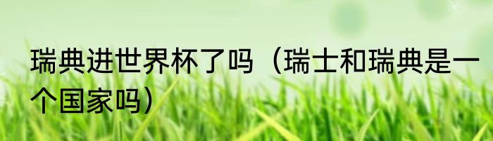 瑞典进世界杯了吗（瑞士和瑞典是一个国家吗）