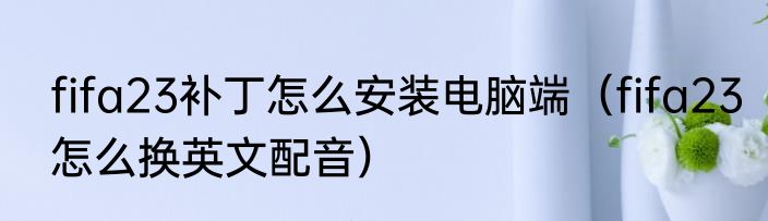 fifa23补丁怎么安装电脑端（fifa23怎么换英文配音）