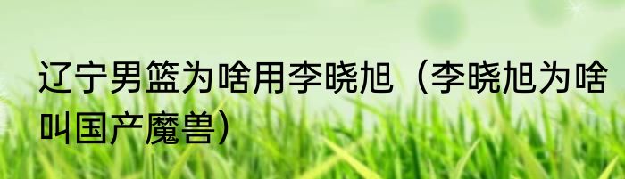 辽宁男篮为啥用李晓旭（李晓旭为啥叫国产魔兽）