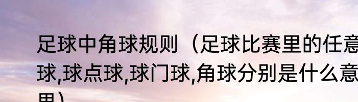 足球中角球规则（足球比赛里的任意球,球点球,球门球,角球分别是什么意思）