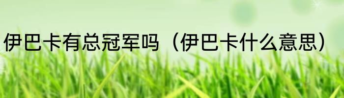 伊巴卡有总冠军吗（伊巴卡什么意思）
