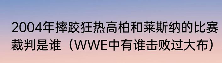 2004年摔跤狂热高柏和莱斯纳的比赛裁判是谁（WWE中有谁击败过大布）