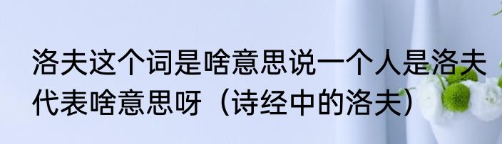 洛夫这个词是啥意思说一个人是洛夫代表啥意思呀（诗经中的洛夫）