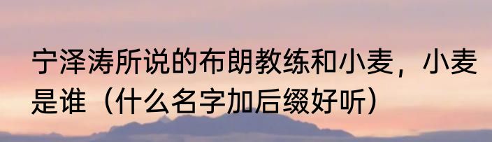 宁泽涛所说的布朗教练和小麦，小麦是谁（什么名字加后缀好听）
