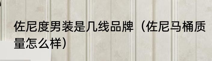 佐尼度男装是几线品牌（佐尼马桶质量怎么样）