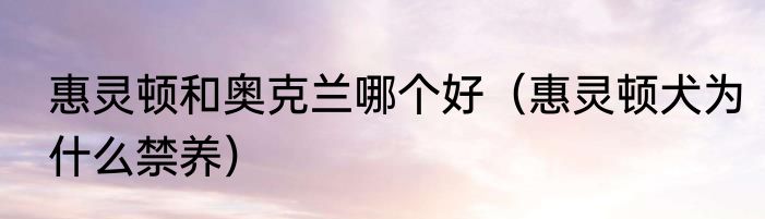 惠灵顿和奥克兰哪个好（惠灵顿犬为什么禁养）