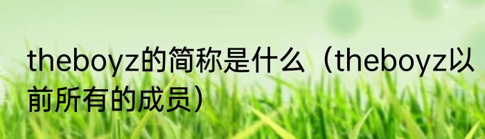 theboyz的简称是什么（theboyz以前所有的成员）