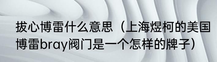 拔心博雷什么意思（上海煜柯的美国博雷bray阀门是一个怎样的牌子）
