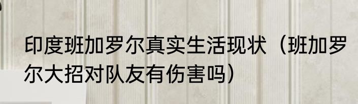 印度班加罗尔真实生活现状（班加罗尔大招对队友有伤害吗）