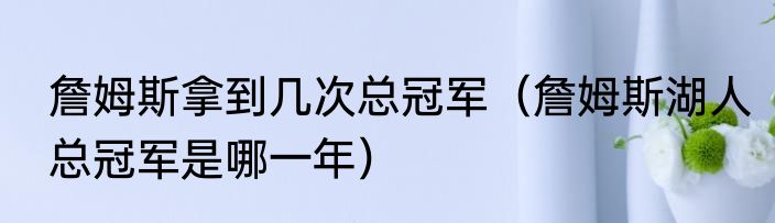 詹姆斯拿到几次总冠军（詹姆斯湖人总冠军是哪一年）