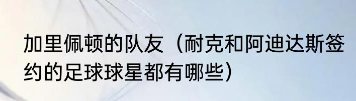 加里佩顿的队友（耐克和阿迪达斯签约的足球球星都有哪些）