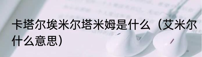 卡塔尔埃米尔塔米姆是什么（艾米尔什么意思）