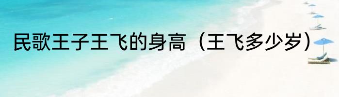 民歌王子王飞的身高（王飞多少岁）