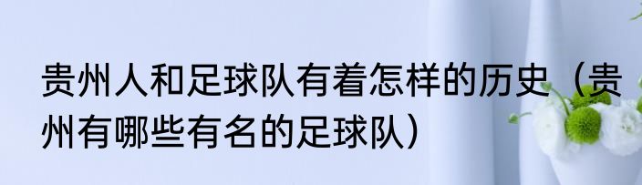 贵州人和足球队有着怎样的历史（贵州有哪些有名的足球队）