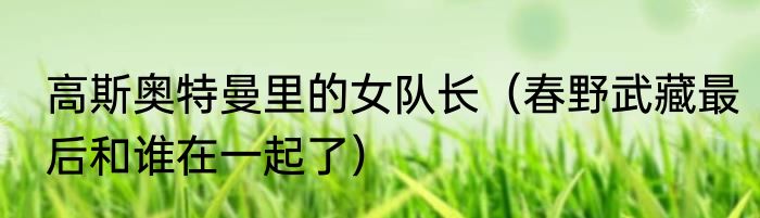 高斯奥特曼里的女队长（春野武藏最后和谁在一起了）