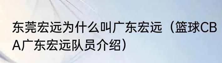 东莞宏远为什么叫广东宏远（篮球CBA广东宏远队员介绍）